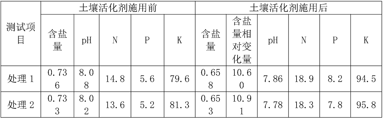 Soil activating agent and preparation method thereof