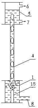 Bubble pump and application of bubble pump