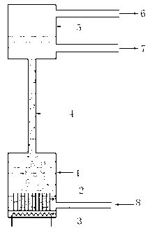 Bubble pump and application of bubble pump