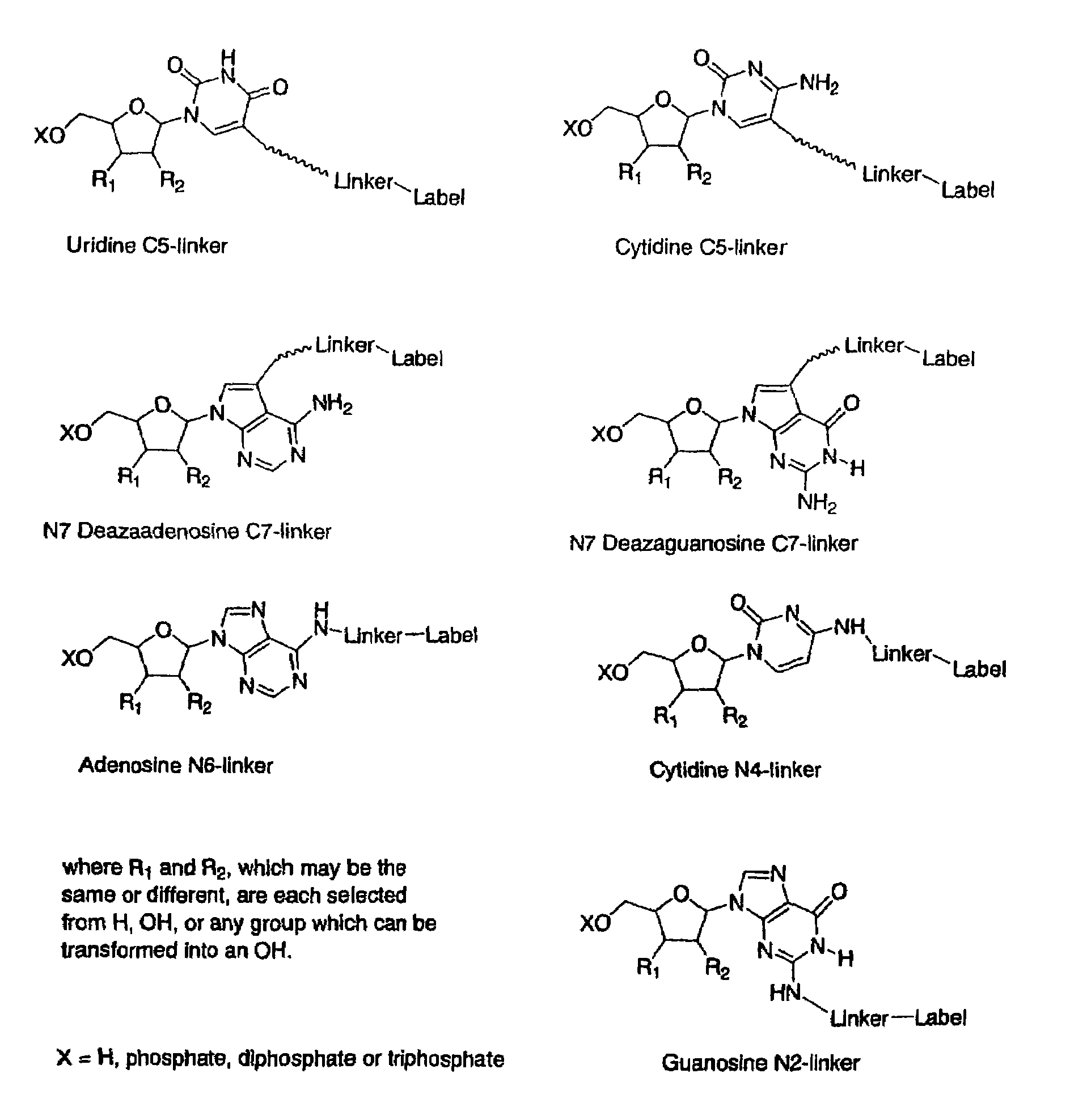 Labelled nucleotides