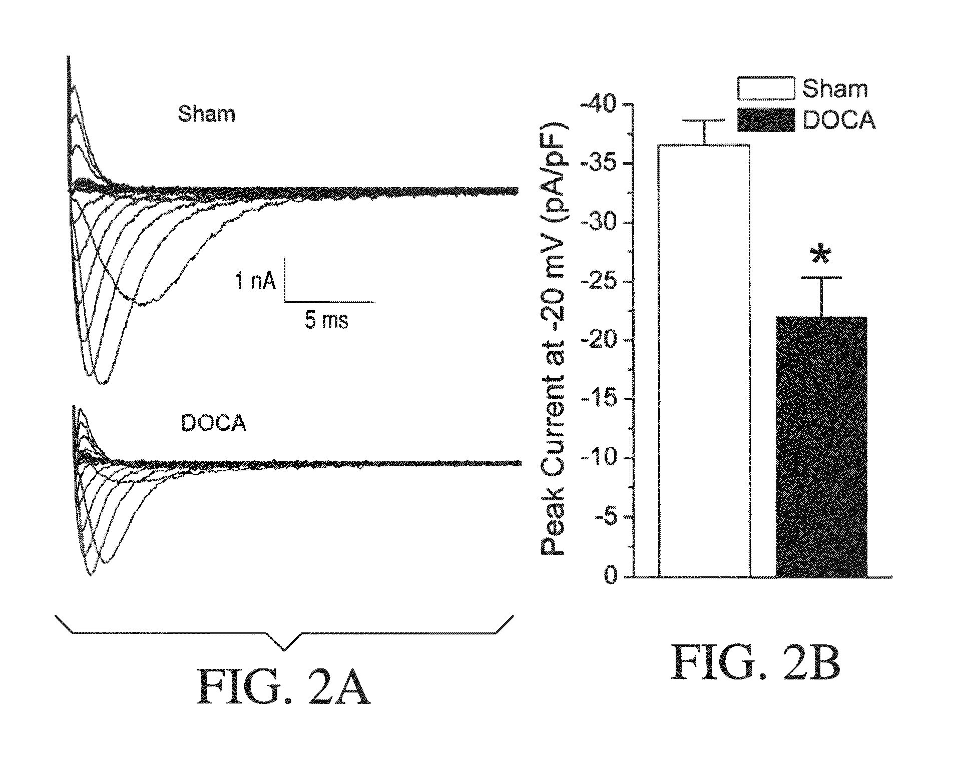 Method for ameliorating or preventing arrhythmic risk associated with cardiomyopathy by improving conduction velocity