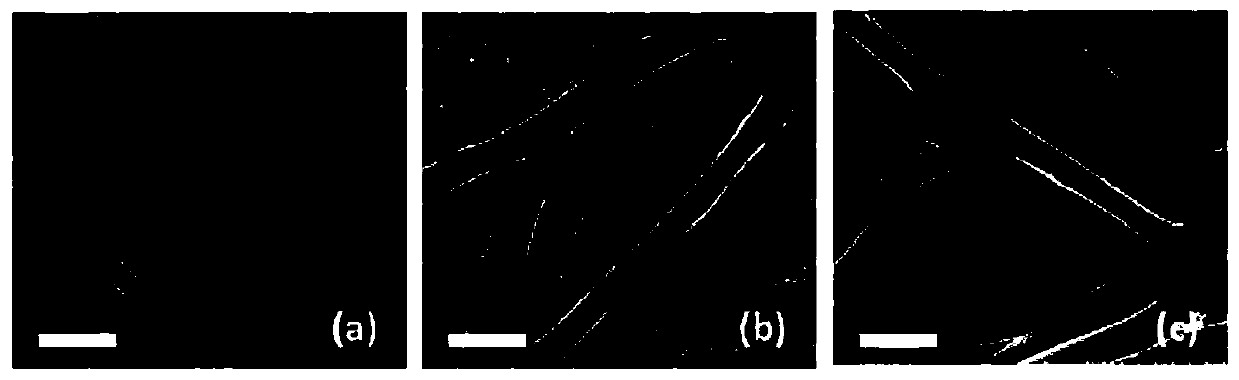 Preparation method and applications for precious metal doped PVDF nanofiber composite film