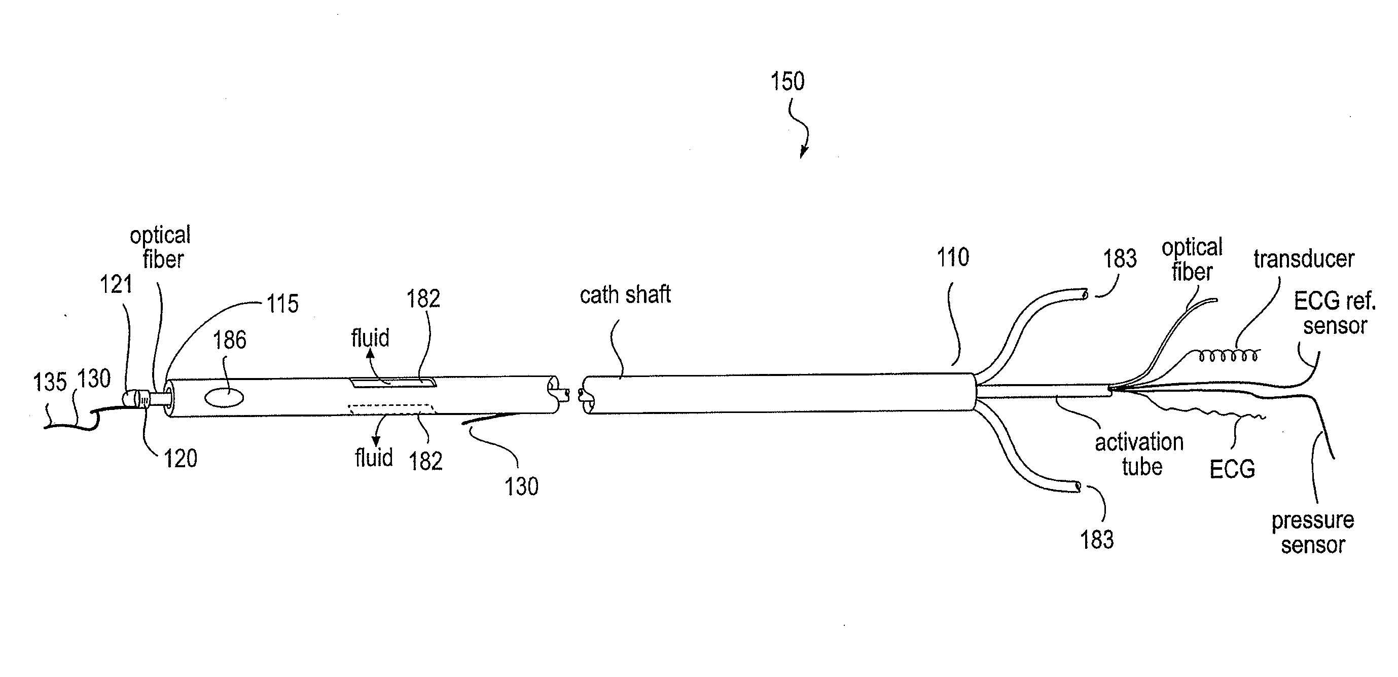 Endovascular devices and methods of use