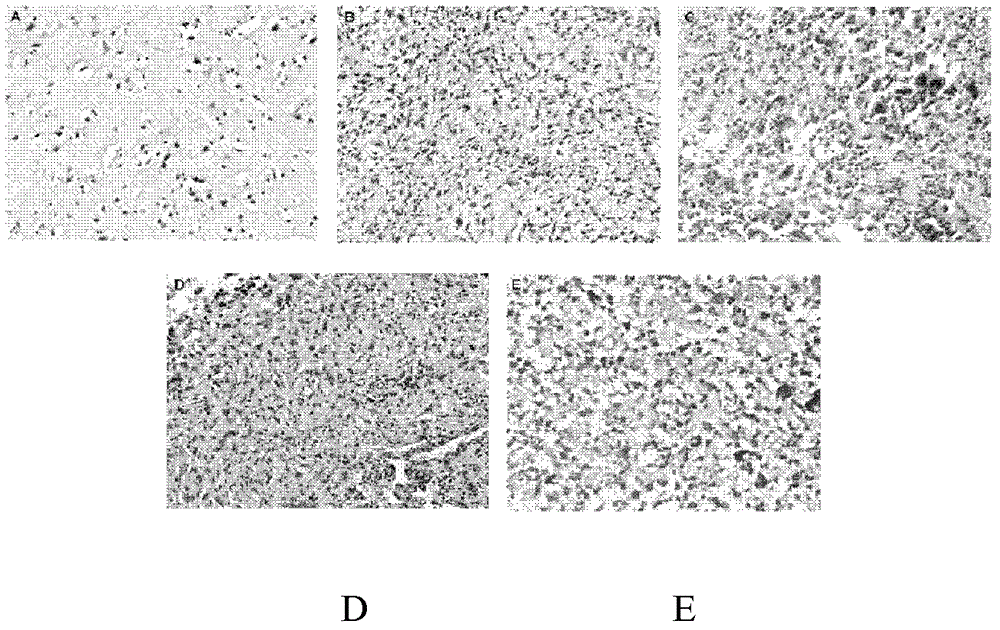 Application method of low-methylation gene F10