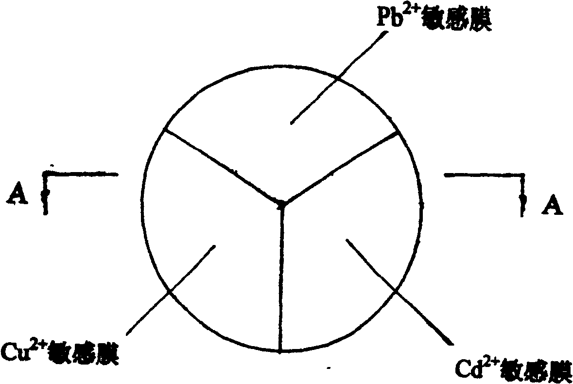 Array filmsensor for simultaneously detecting Cu2+, Pb2+, Cd2+ and its preparing method