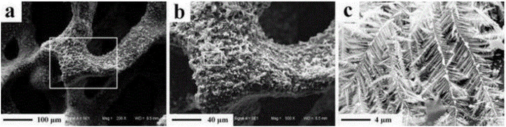 Preparation method of bionic oil-water separation copper foam