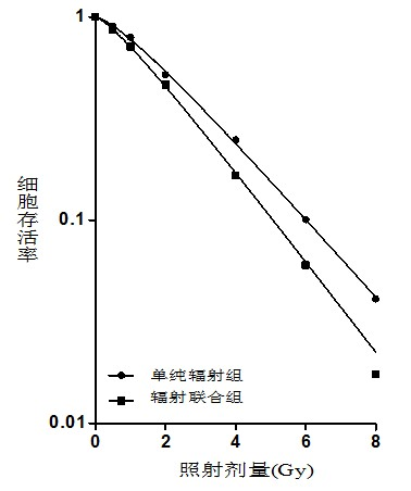 Application of sodium oxamate in preparing drugs for radiotherapy sensitization