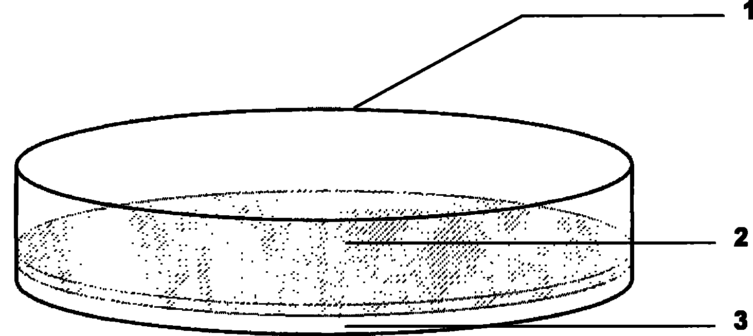 Cultivation device and method for adherent cell thin membrane of laboratory