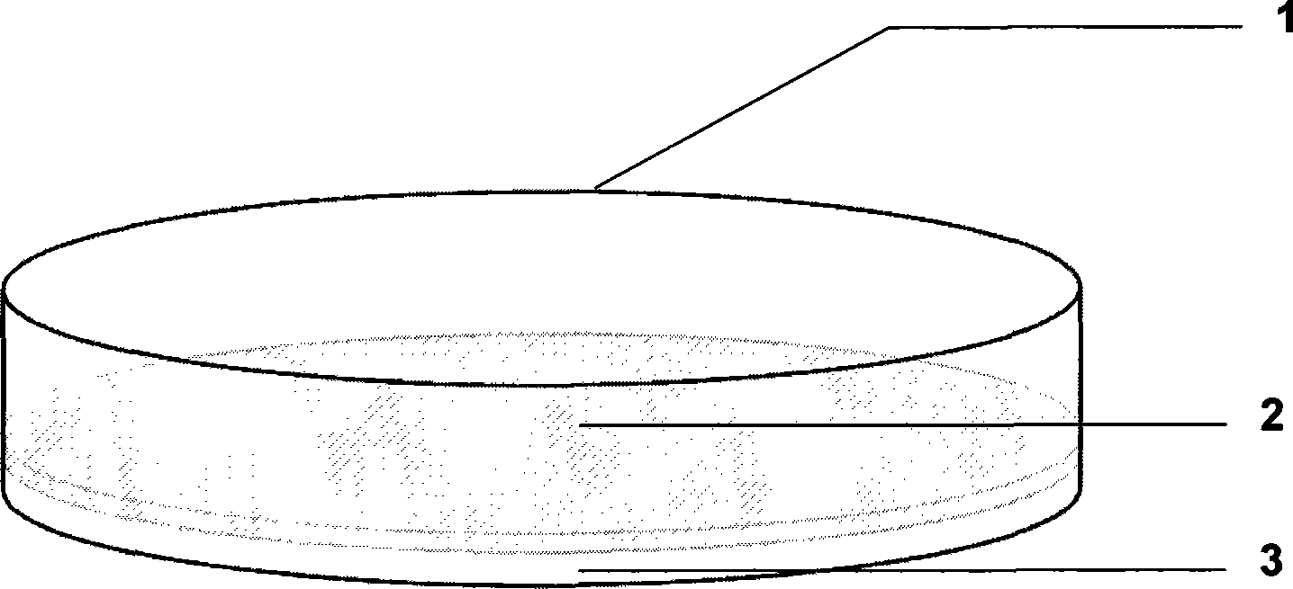 Cultivation device and method for adherent cell thin membrane of laboratory