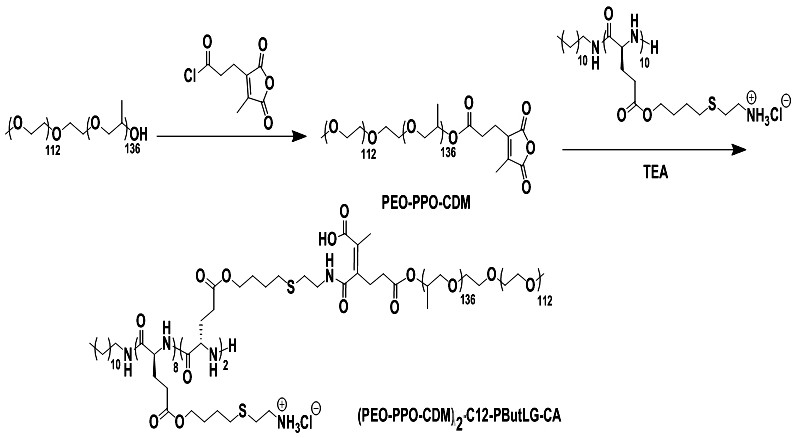 A kind of acid-responsive anticancer peptide and its preparation method