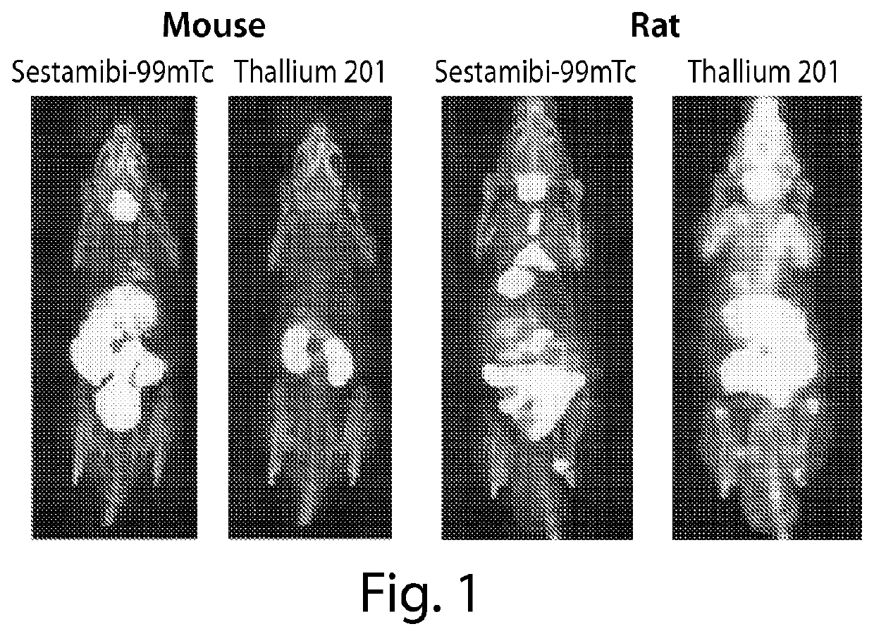 Compositions and methods for assessing neuromuscular function