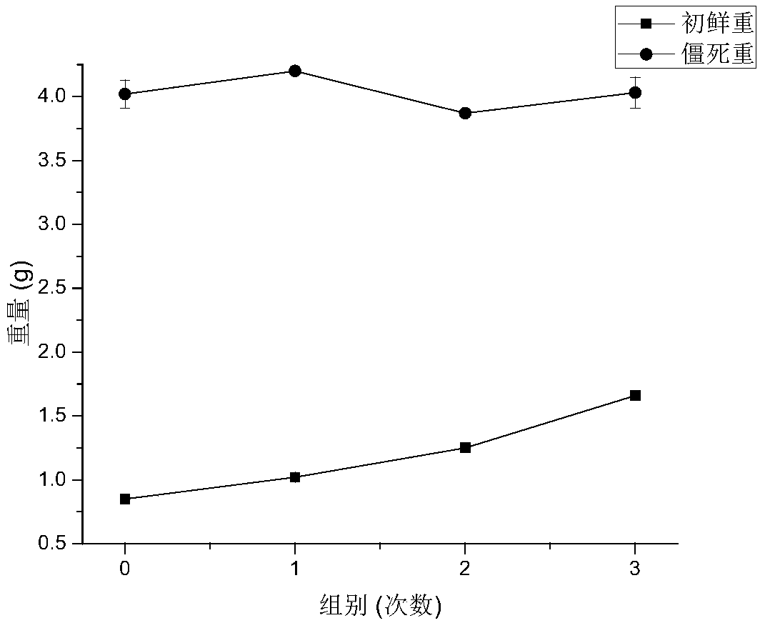 Inoculation method suitable for medical bombyx batryticatus production