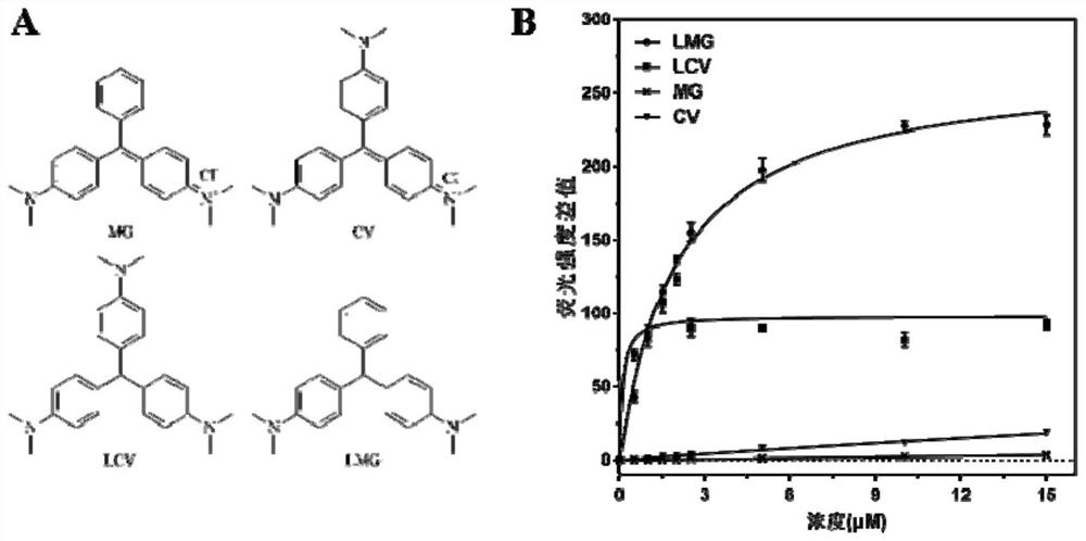 Nucleic acid aptamer of leuco-malachite green and application thereof