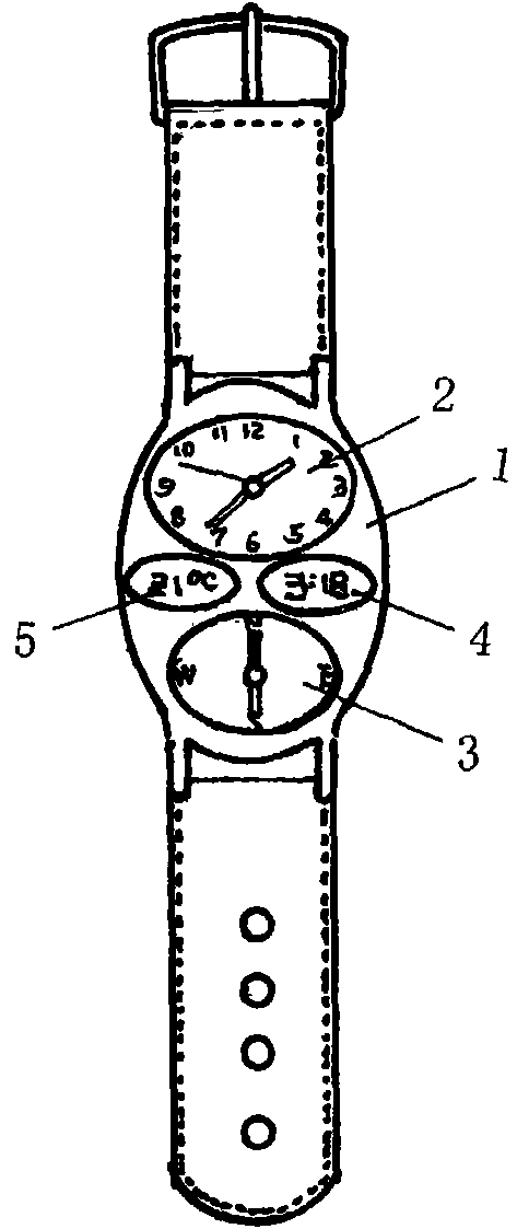 Multi-purpose watch