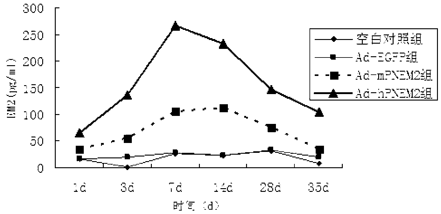 Method for producing endomorphin 2 via high-efficiency expression, and application for same