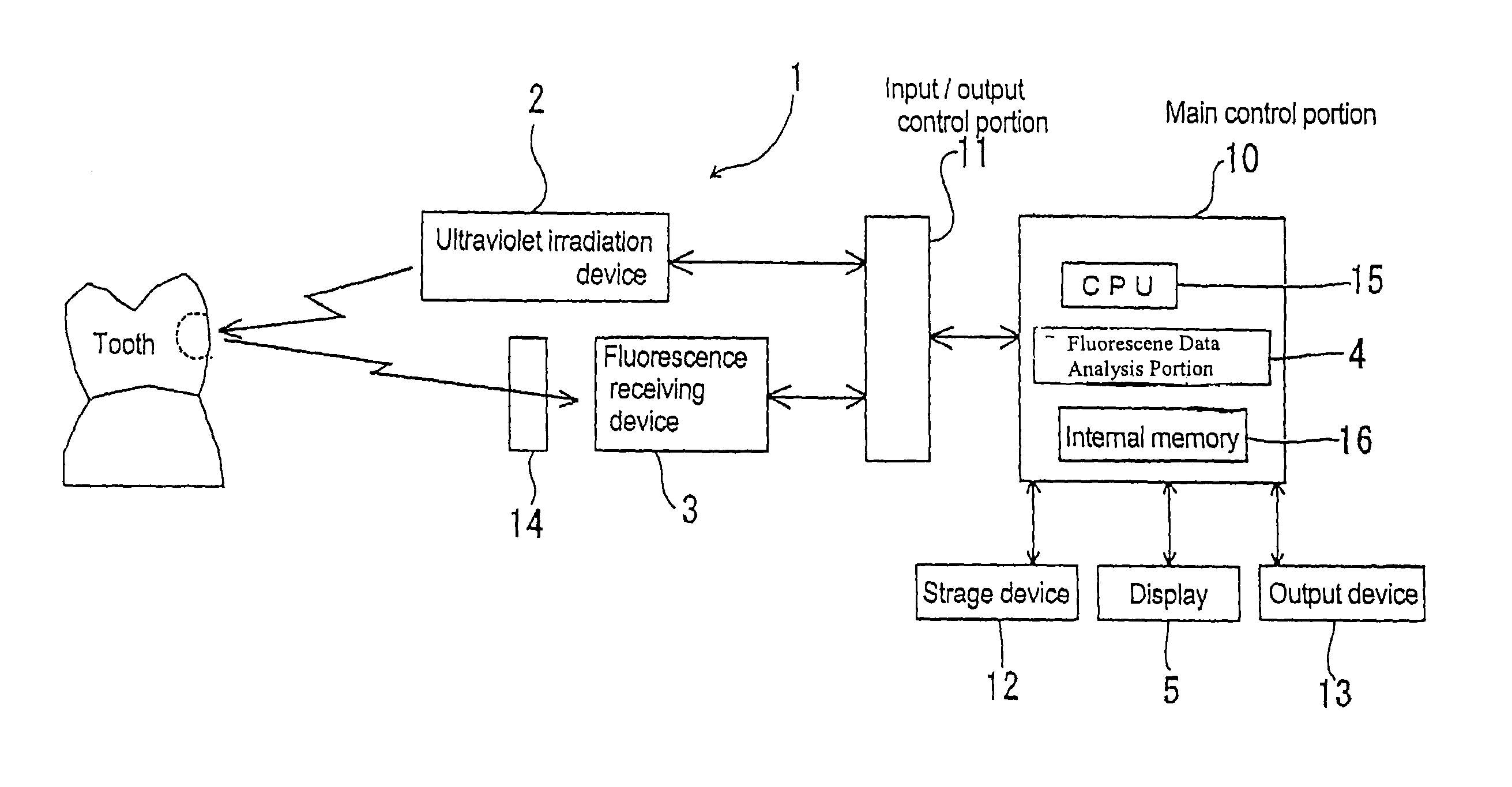 Carious tooth detection device