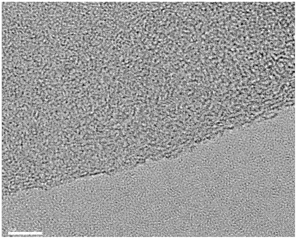 Method for preparing spheroidal graphene