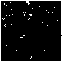 A method for connection between magnesium alloy and silk fibroin