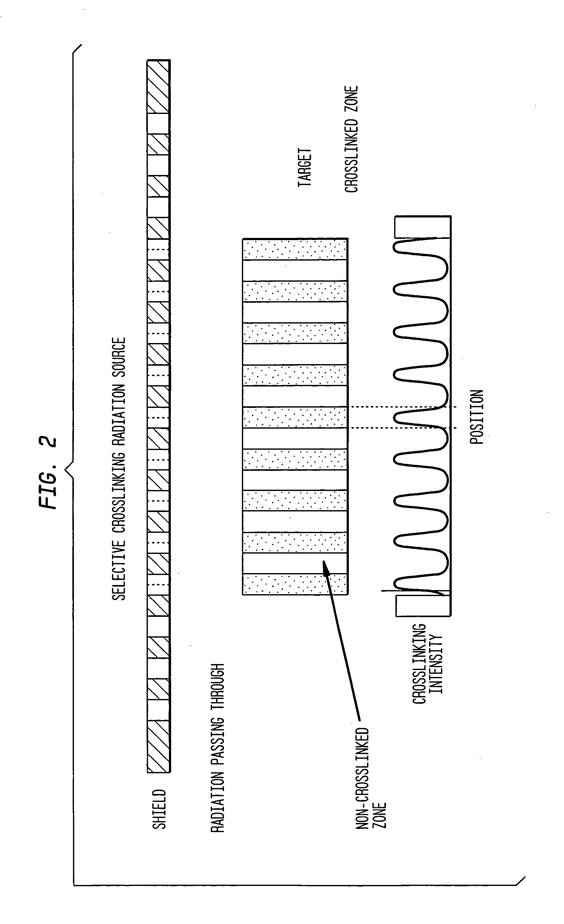 Selectively cross-linked polyethylene orthopedic devices