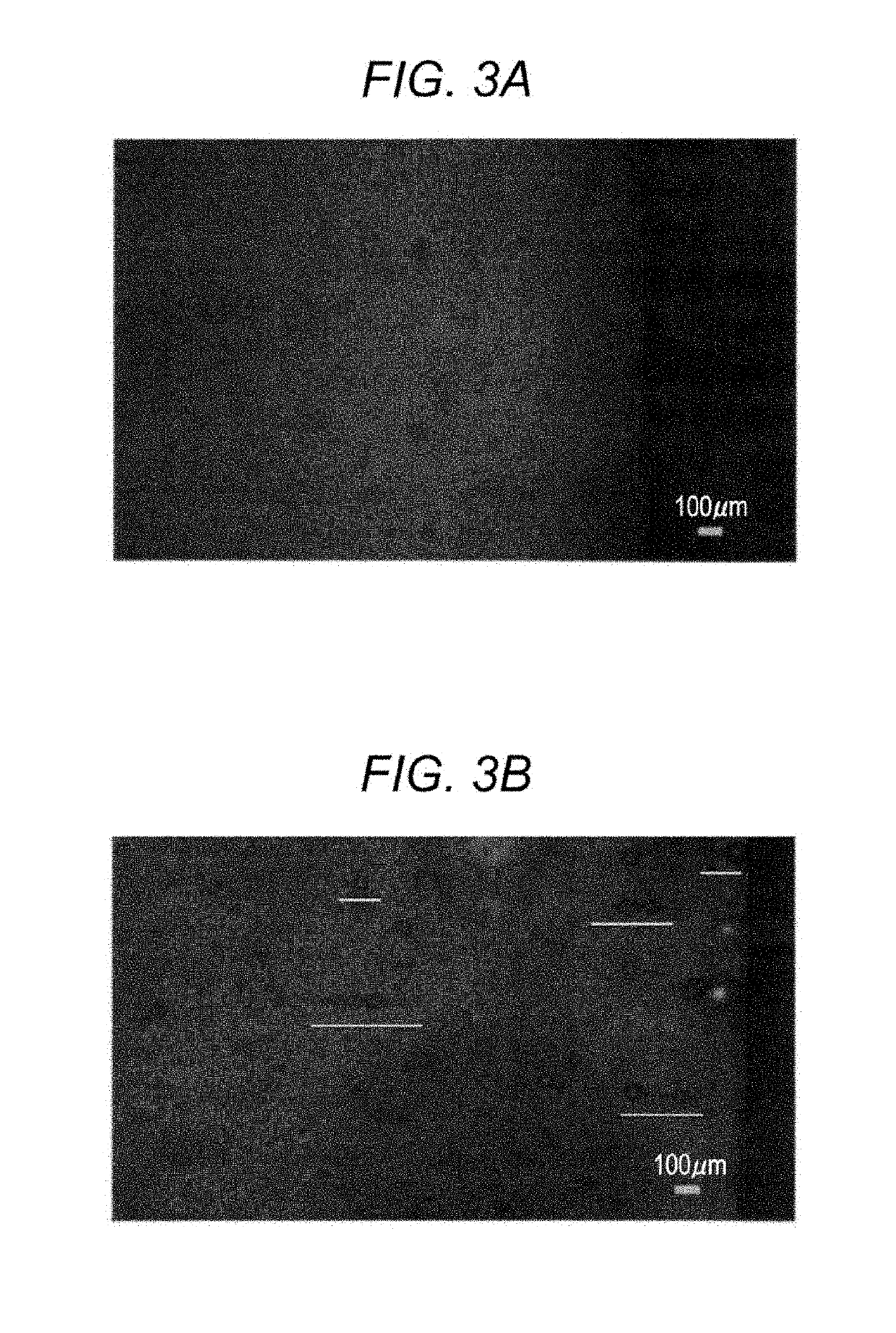 Moisture control apparatus and moisture control method