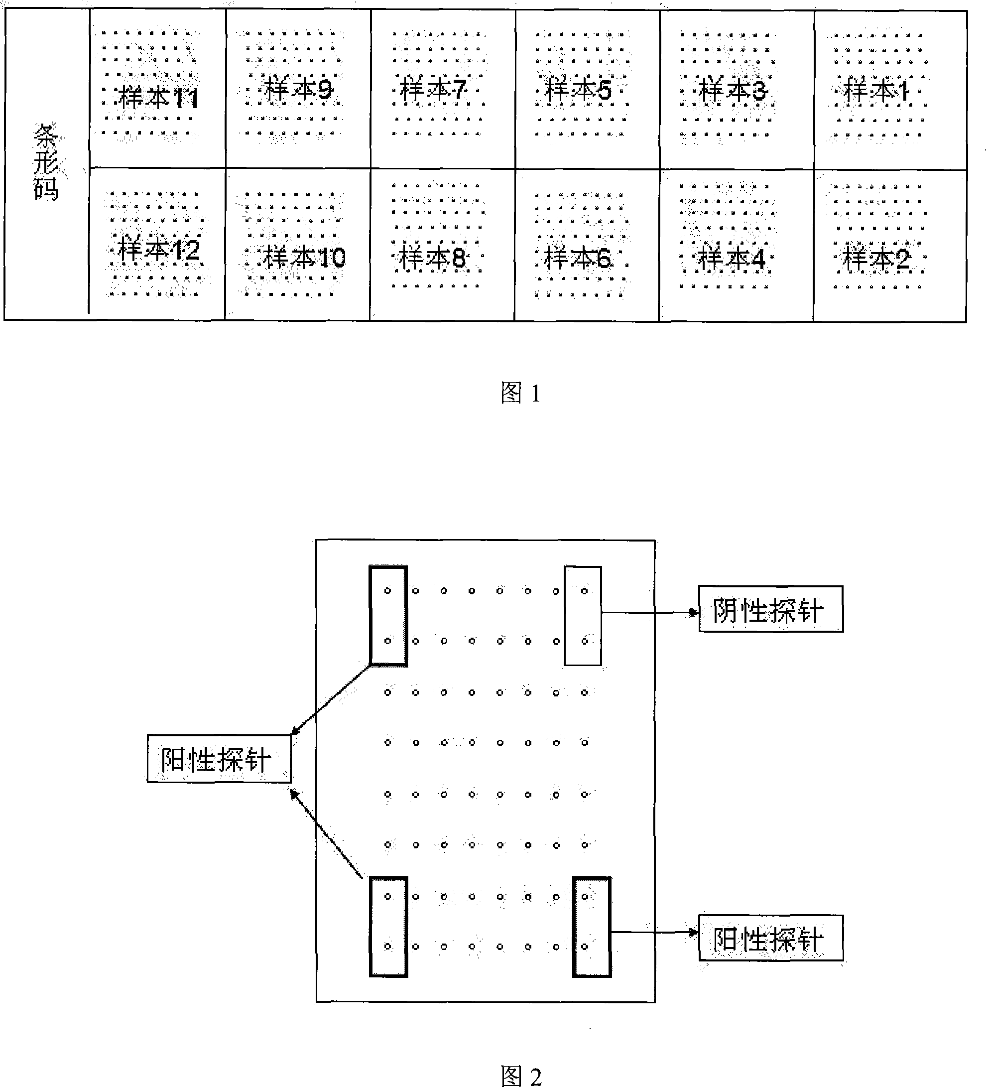 Method for preparing detection chip and method for detecting pathogen by using the same