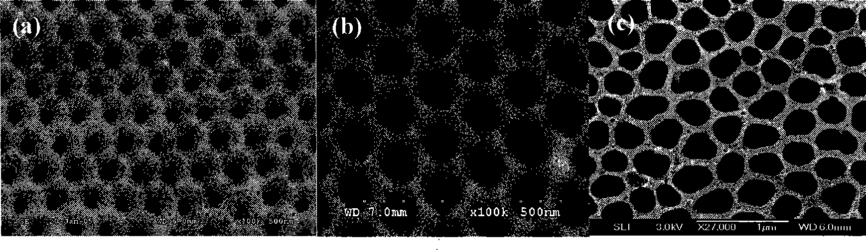 Method for preparing organic net membrane