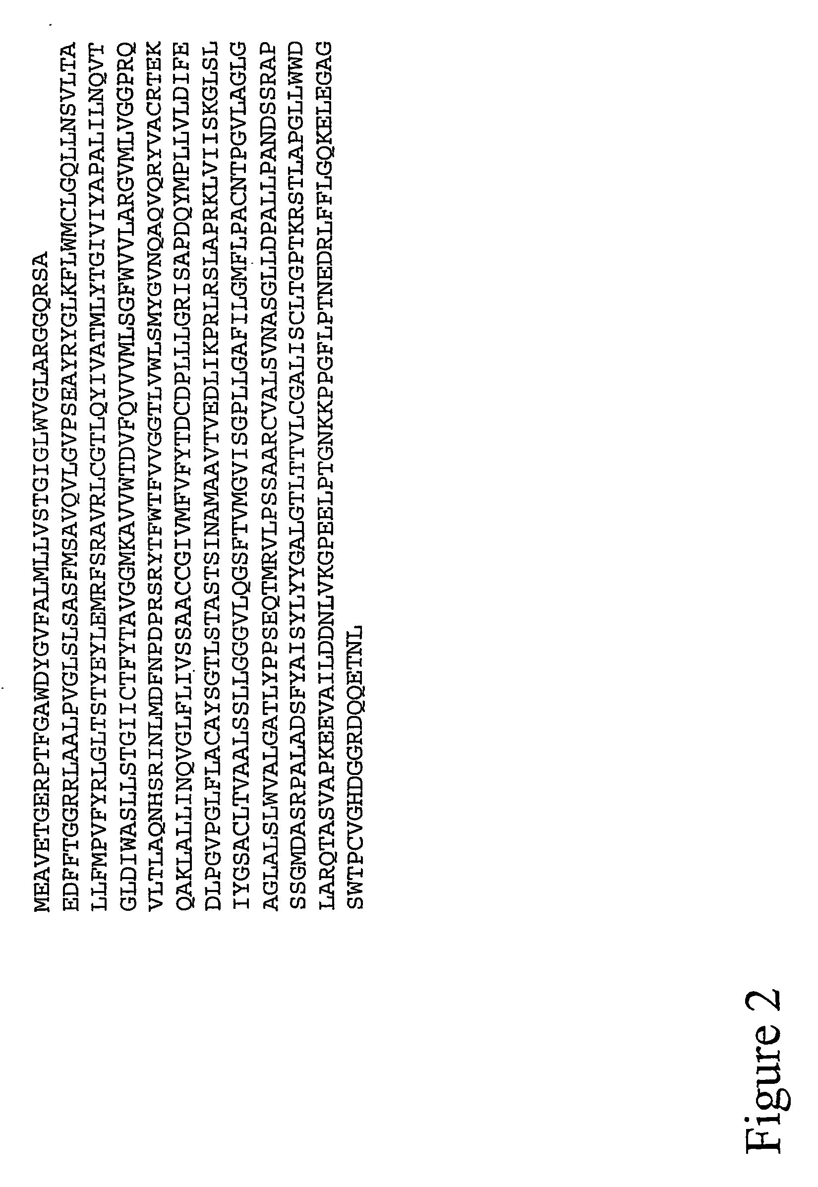 Modified sodium iodide symporter proteins and genes for imaging and cancer therapy