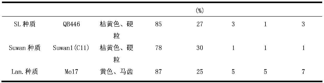 Breeding method of temperate and tropical corn selfing line QB446