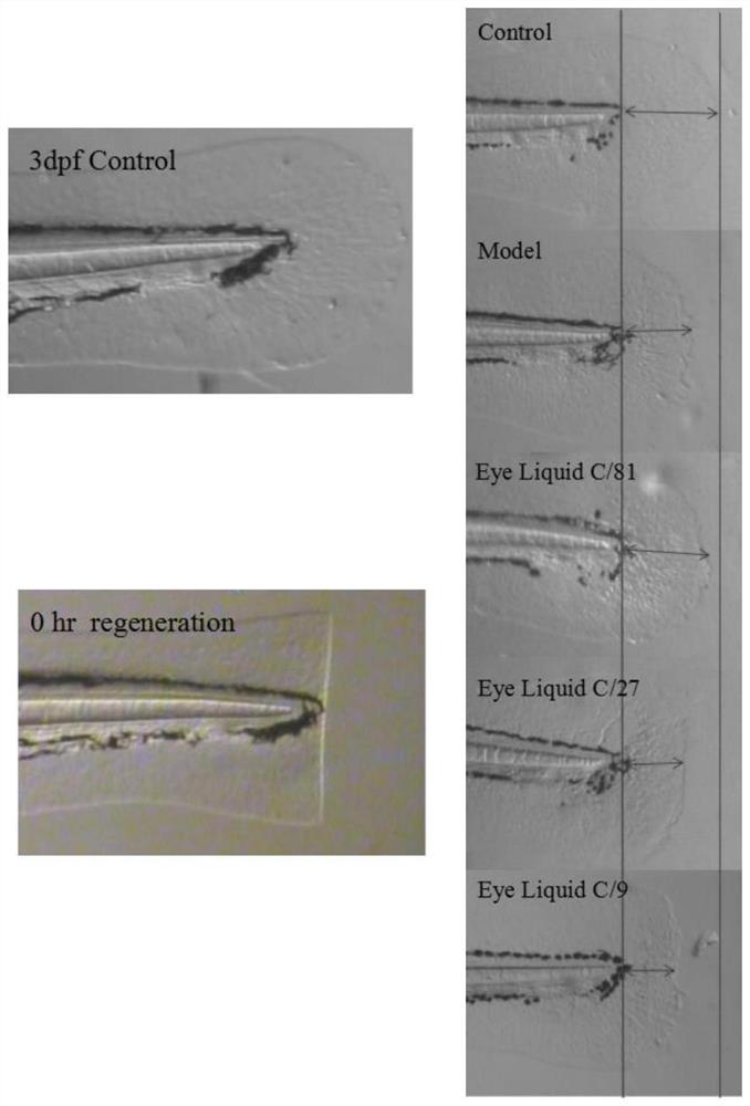 A kind of eyewash and preparation method thereof