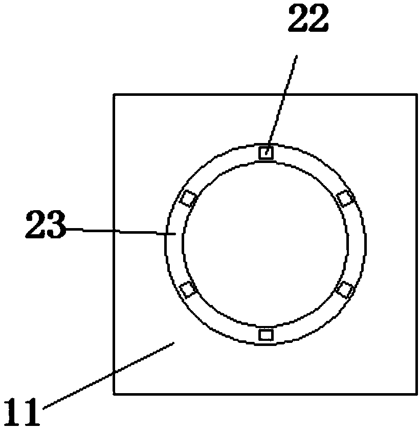 Quantitative feeding device for livestock and poultry