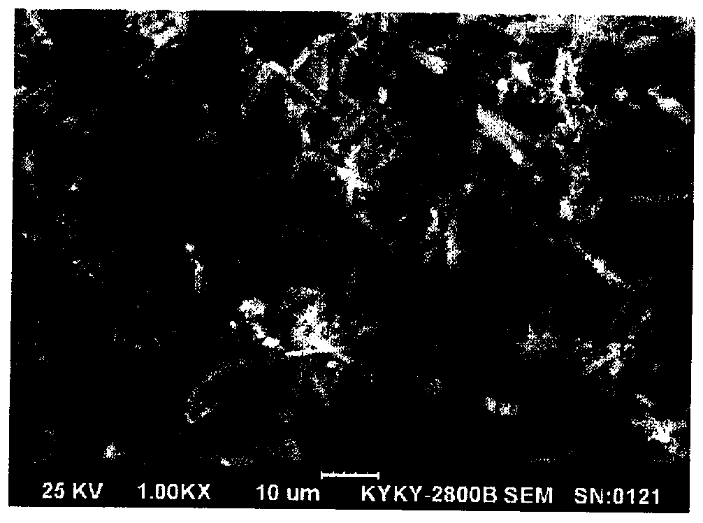 Spherical cobalt oxalate powder and production method thereof