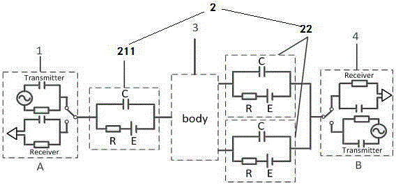 Wearable device multi-coupling type human body channel modeling method combining field and path