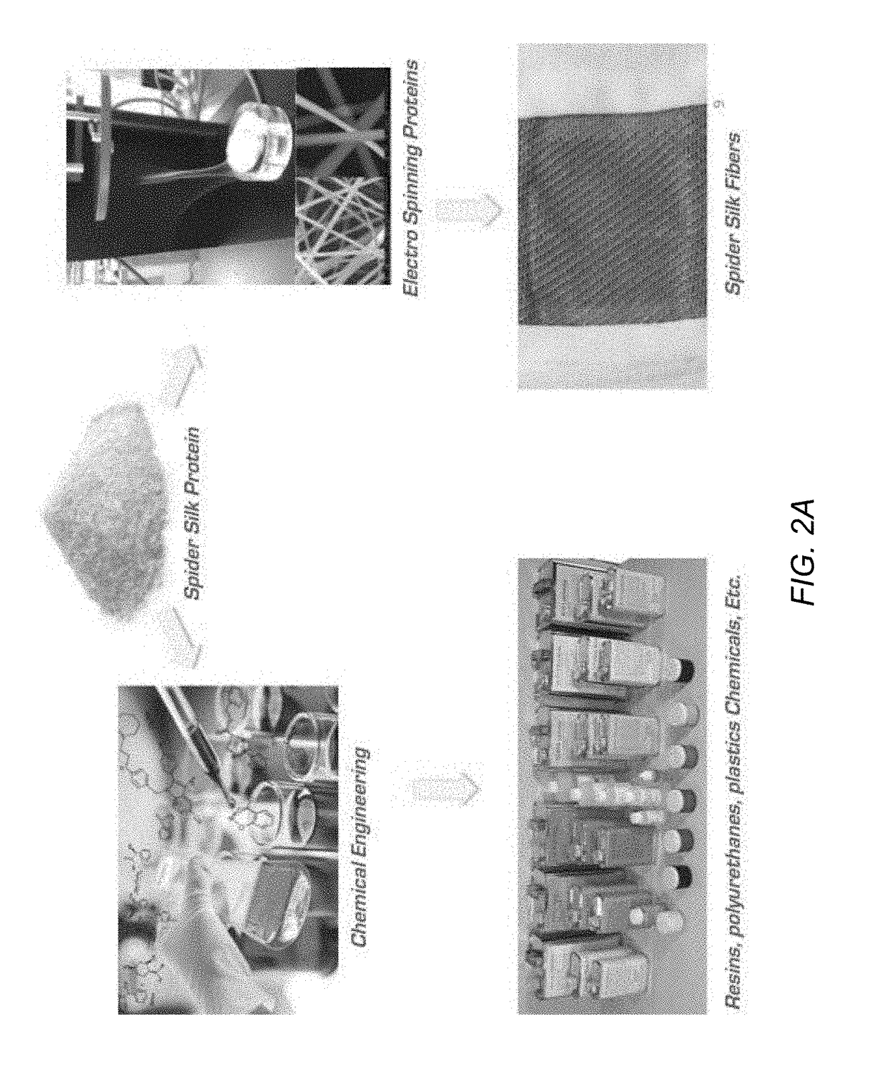 Load-bearing composite panels, materials, products, and processes to make and use same