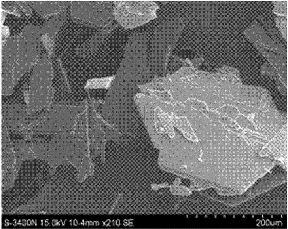 Method for preparing glycine zinc chelate