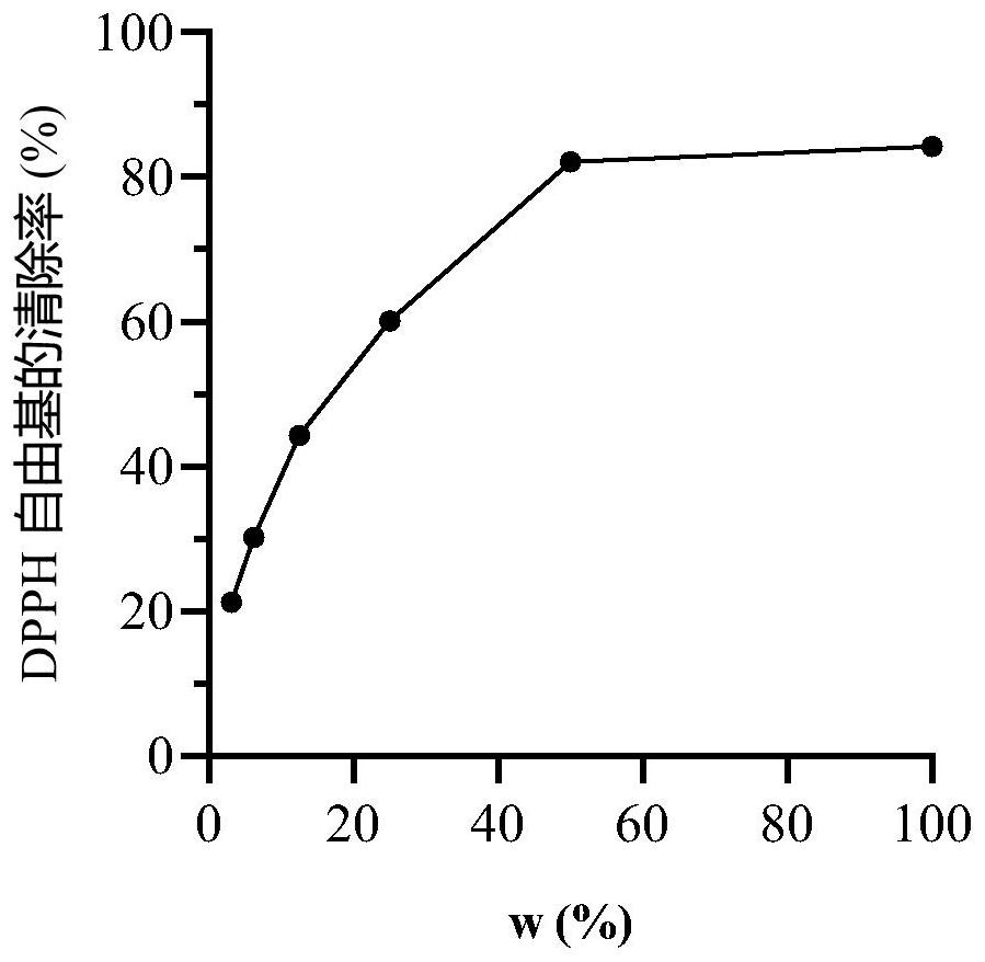 Traditional Chinese medicine composition skincare lotion and preparation method thereof