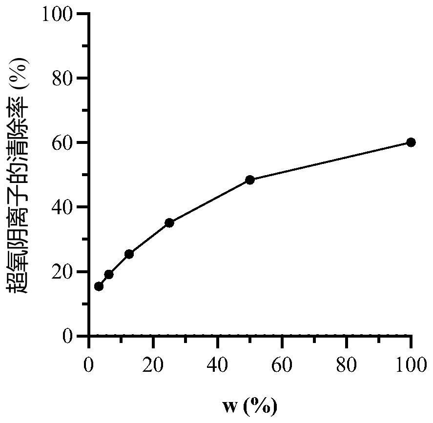 Traditional Chinese medicine composition skincare lotion and preparation method thereof