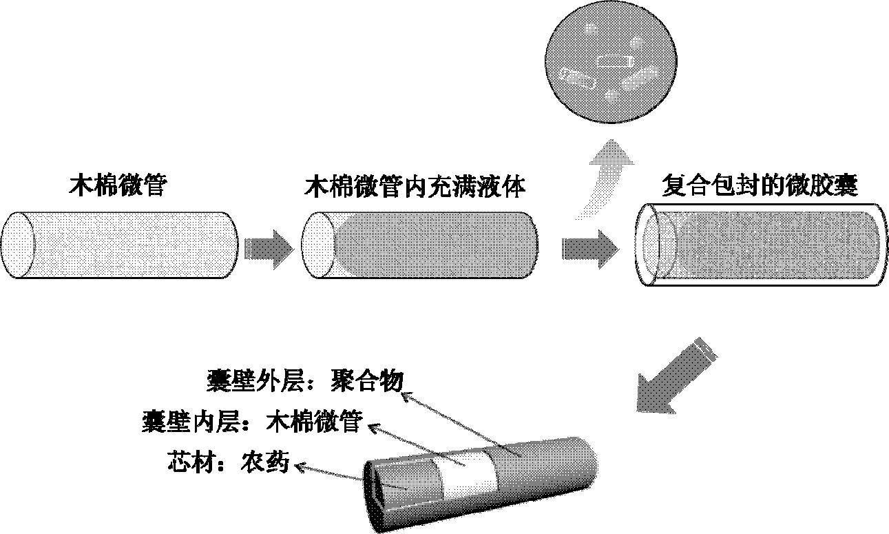 Pesticide microcapsule and preparation method thereof