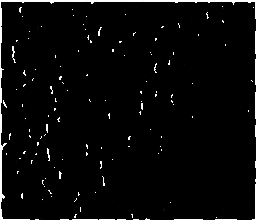 A wedge-shaped non-uniform wettability surface capable of microdroplet self-transport and its preparation method