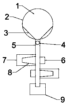 Multipurpose plant color screening device