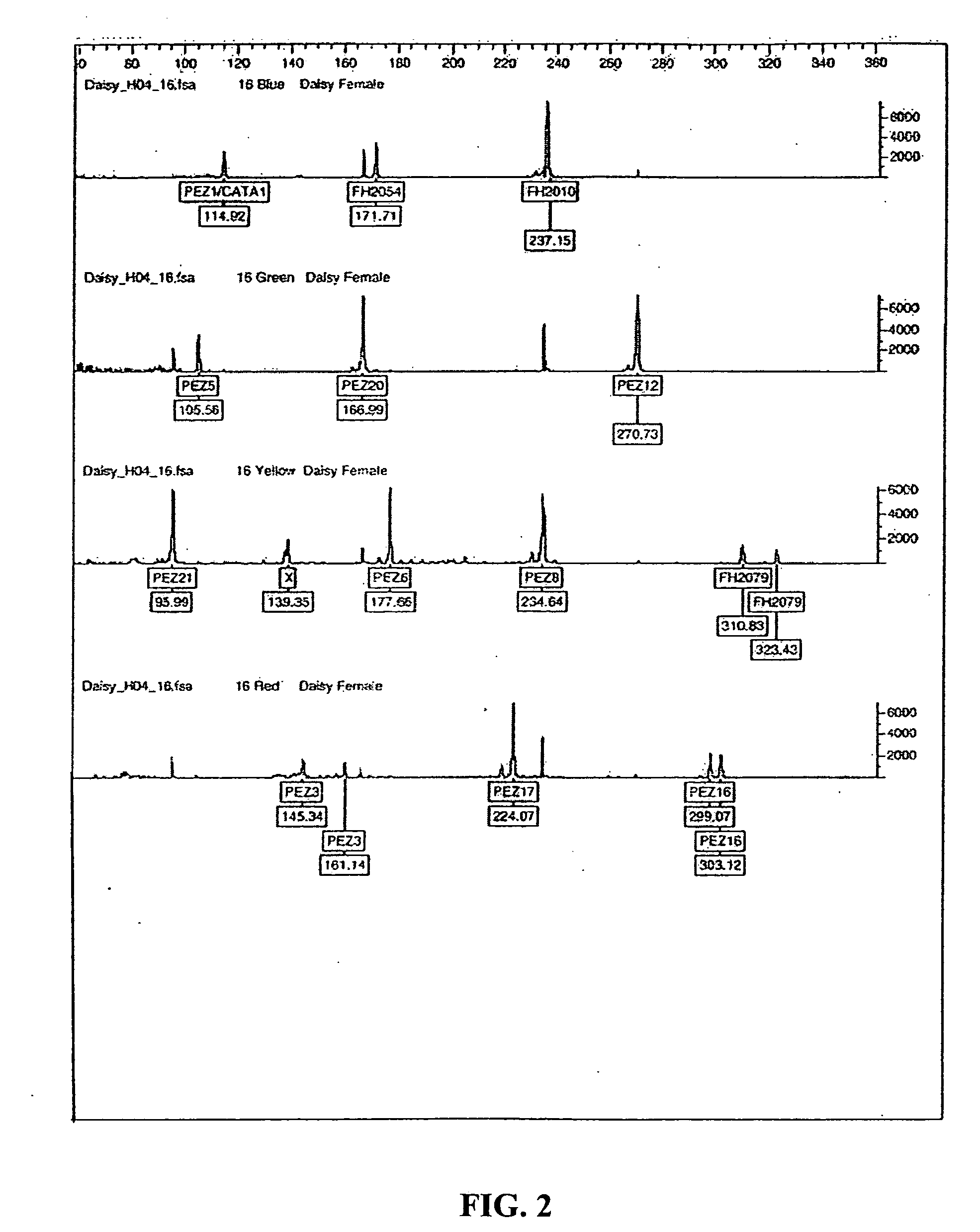 Compositions and methods for determining canine gender