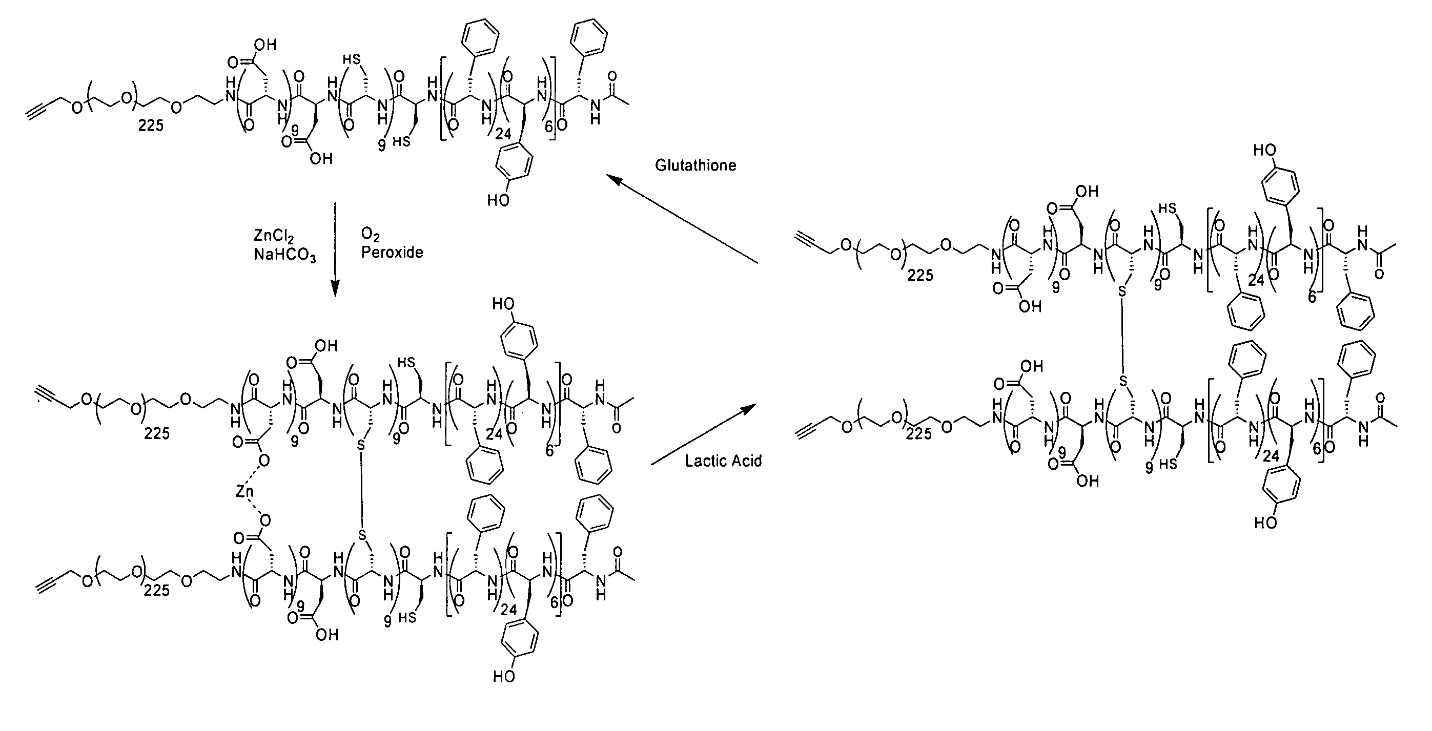 Polymeric micelles for drug delivery