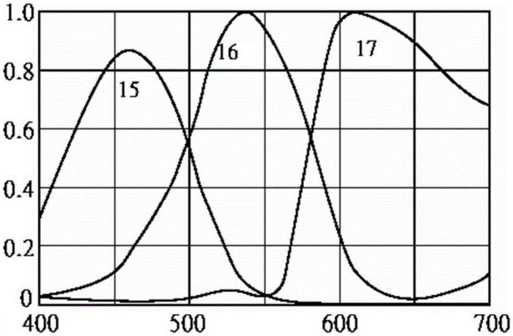 Biological tissue blood flow, blood oxygen and blood volume multi-parameter detection method and device