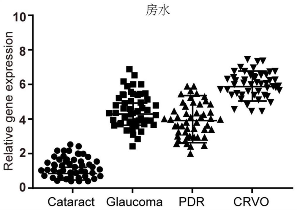 A kind of ischemic retinopathy detection biomarker, detection kit and application