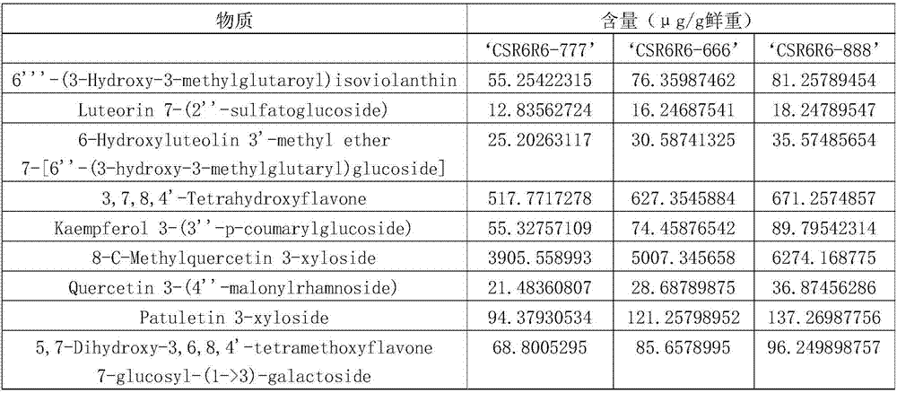 Dry-strong type high-flavonoid cider and preparation method thereof