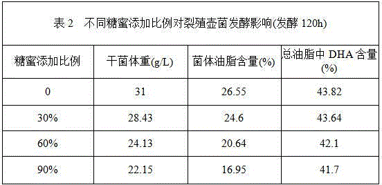 Cane molasses pretreatment process and DHA fermentation and production process