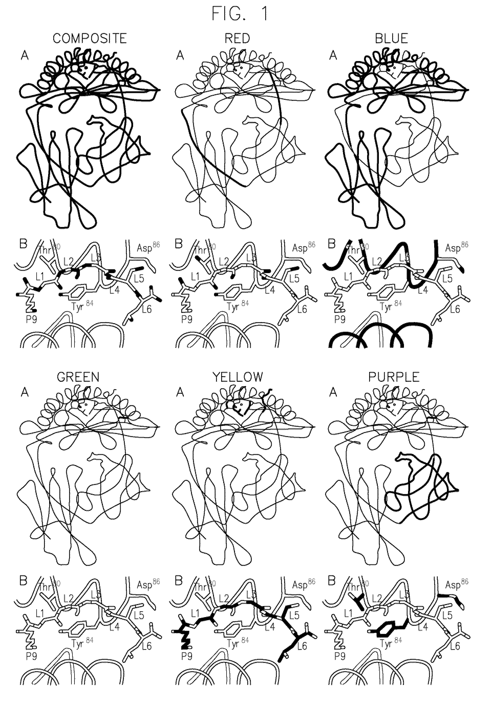 Disulfide Trap MHC Class I Molecules and Uses Therefor