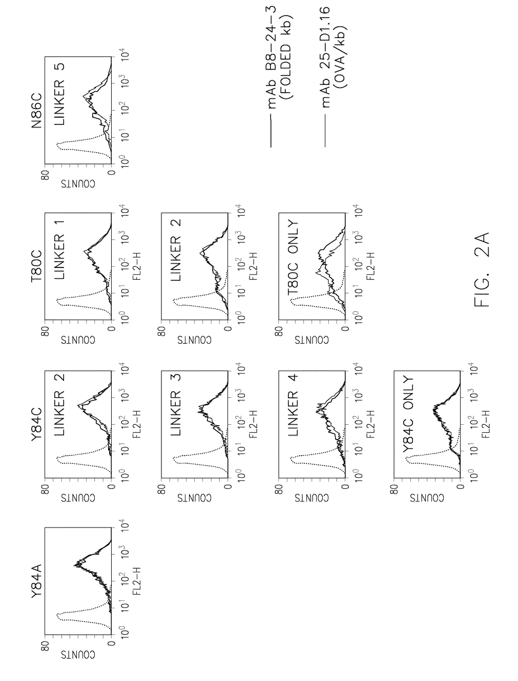 Disulfide Trap MHC Class I Molecules and Uses Therefor