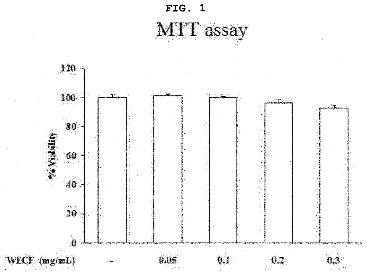 Pharmaceutical composition comprising codium fragile extract as effective ingredient for protecting or treating articular cartilage