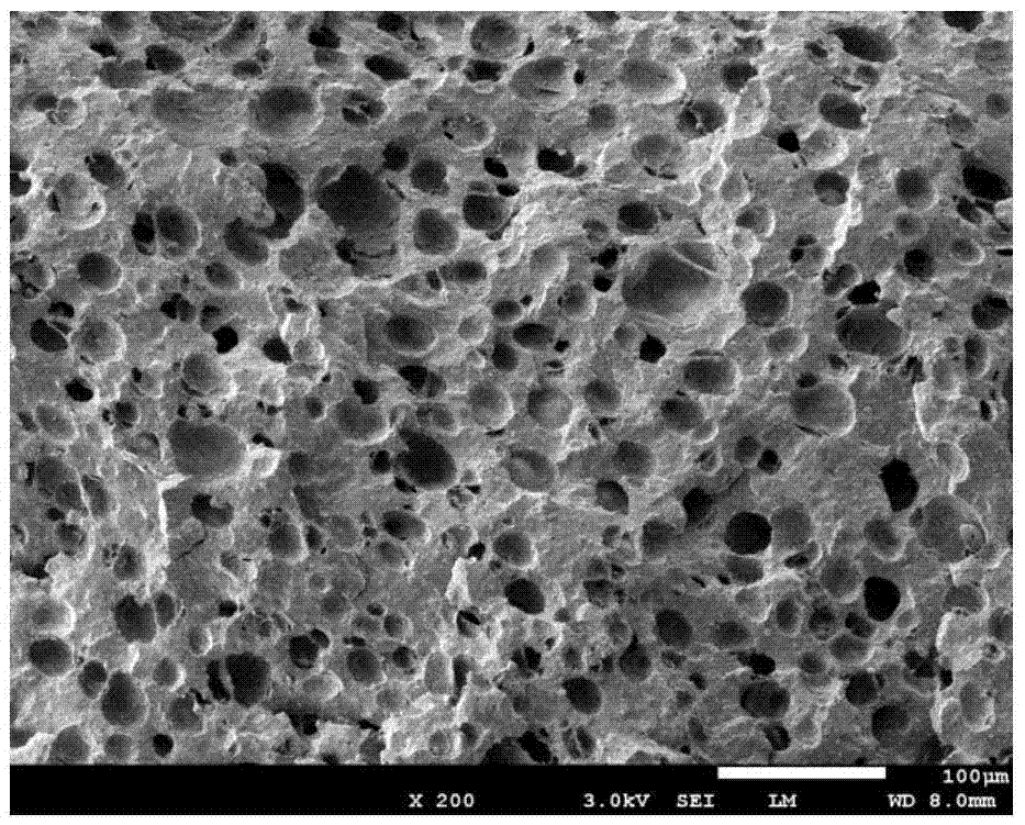 Chlorosulfonated polyethylene microporous foam material and method for preparing same