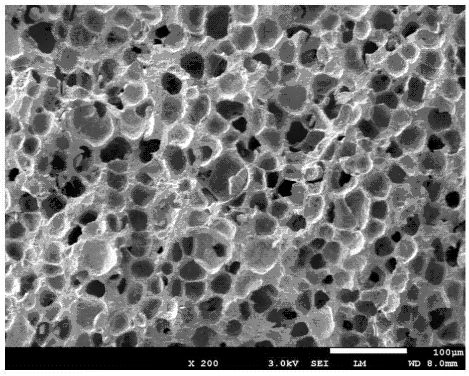 Chlorosulfonated polyethylene microporous foam material and method for preparing same